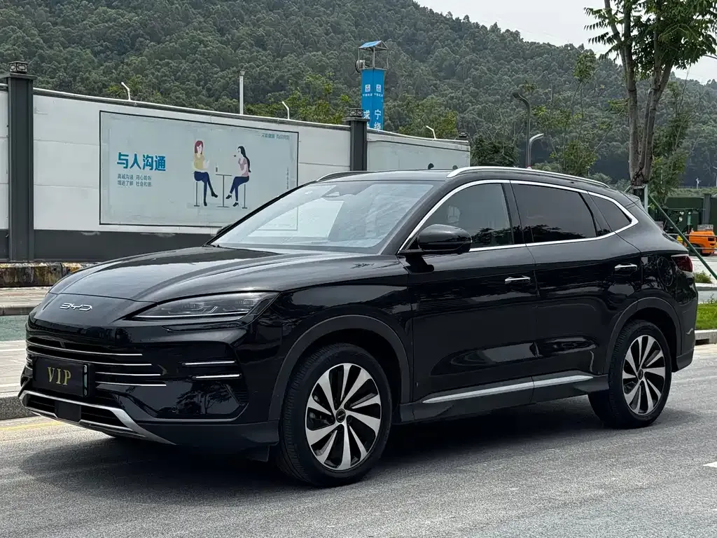 BYD PLUS New Energy — фото 1