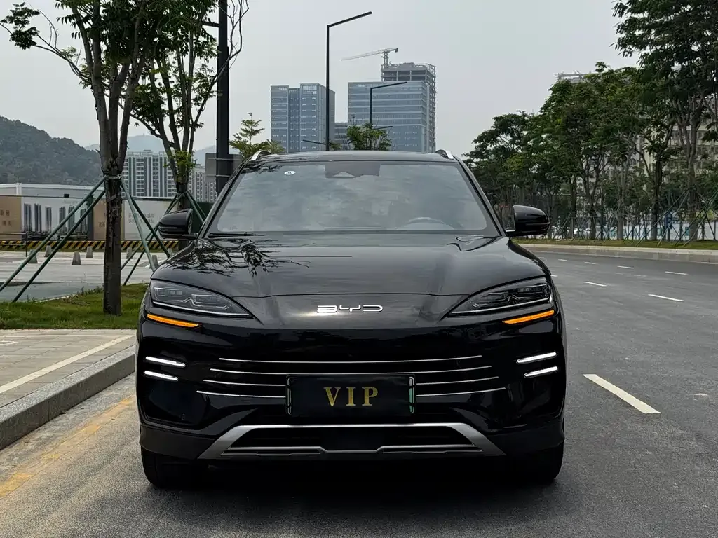 BYD PLUS New Energy — фото 3