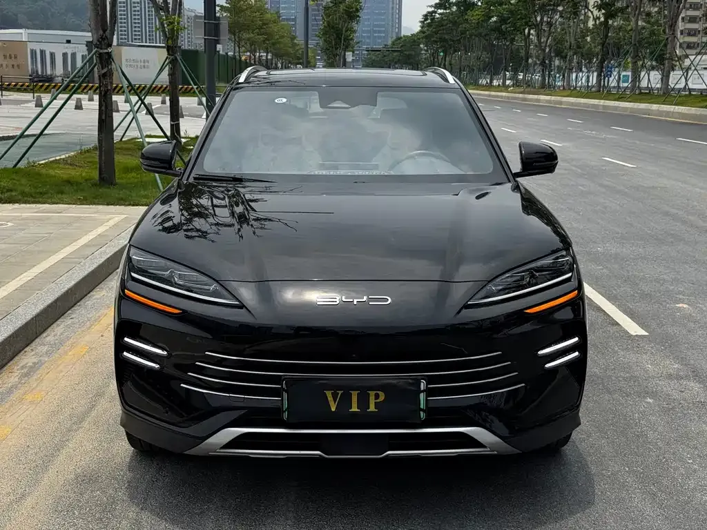 BYD PLUS New Energy — фото 8