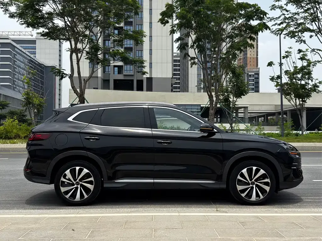 BYD PLUS New Energy — фото 4