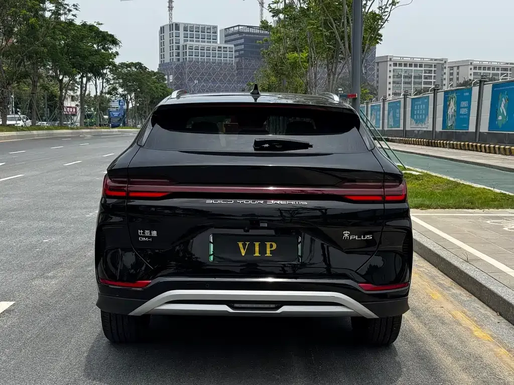 BYD PLUS New Energy — фото 6