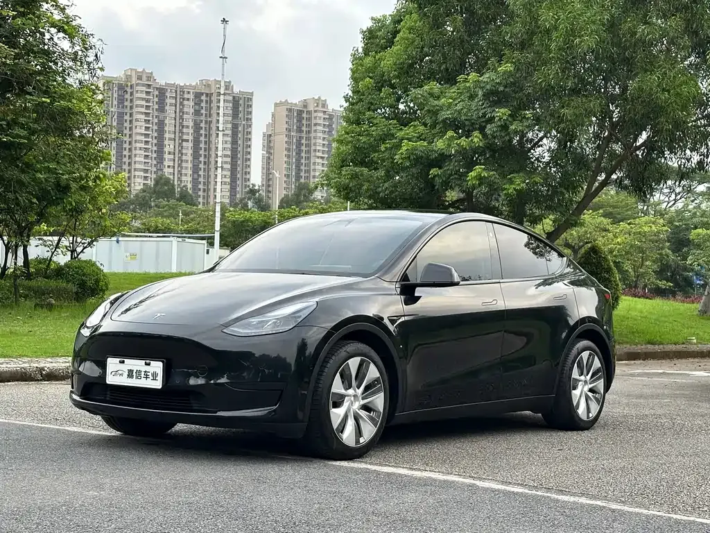 Tesla Model Y — фото 1