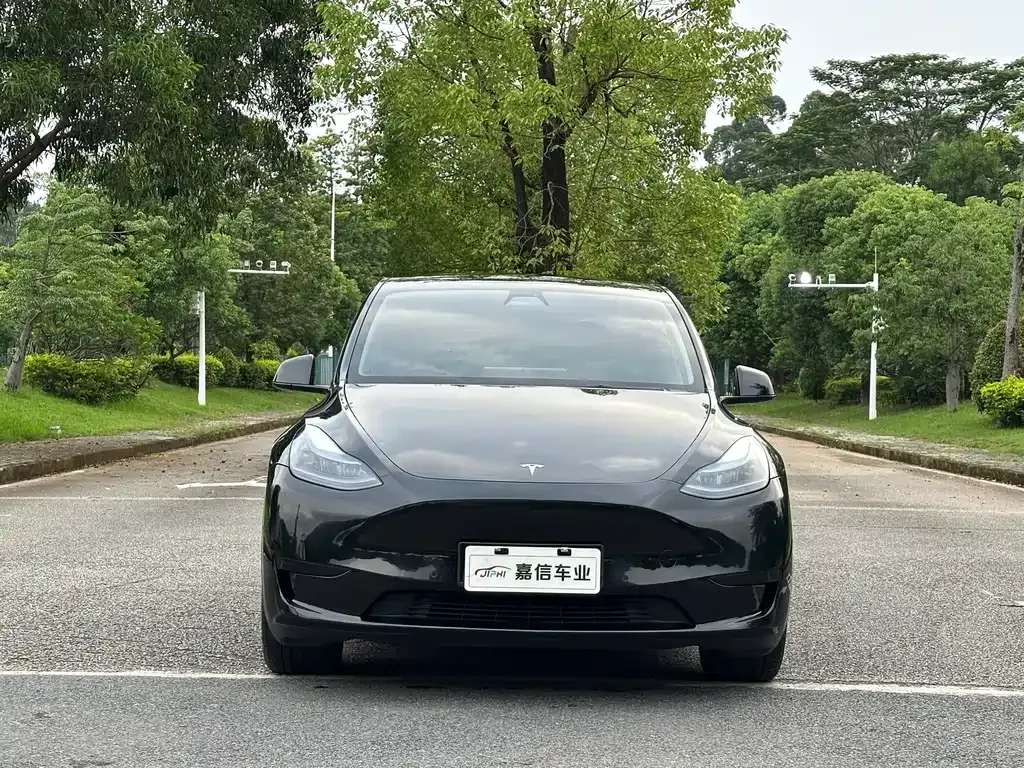 Tesla Model Y — фото 10