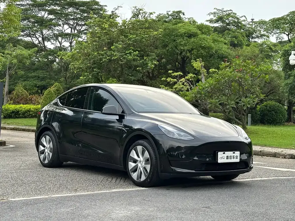 Tesla Model Y — фото 6