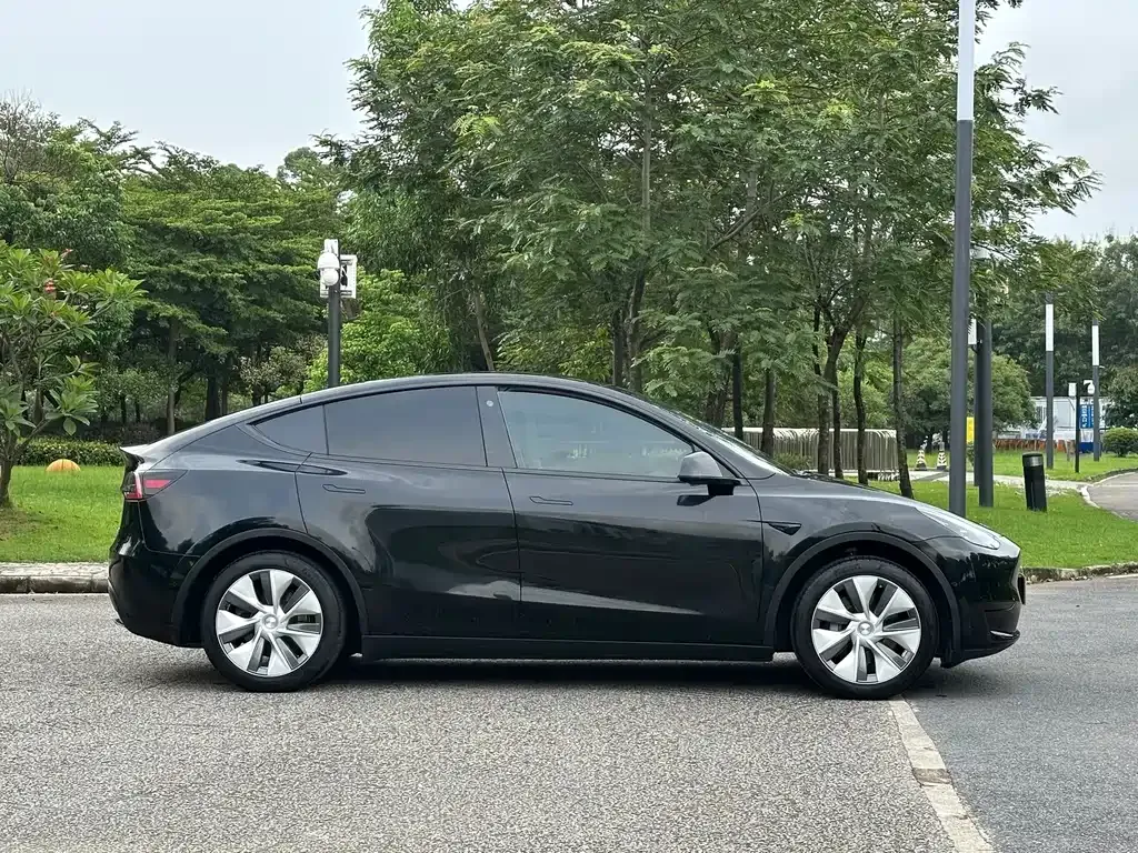 Tesla Model Y — фото 9