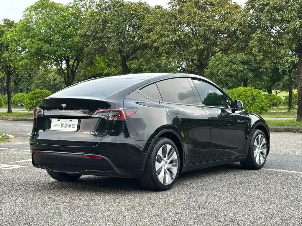 Tesla Model Y — фото 3
