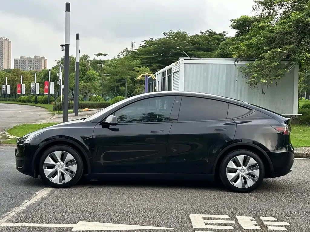 Tesla Model Y — фото 2