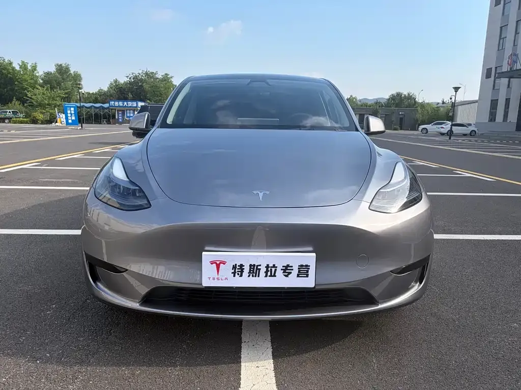 Tesla Model Y — фото 1