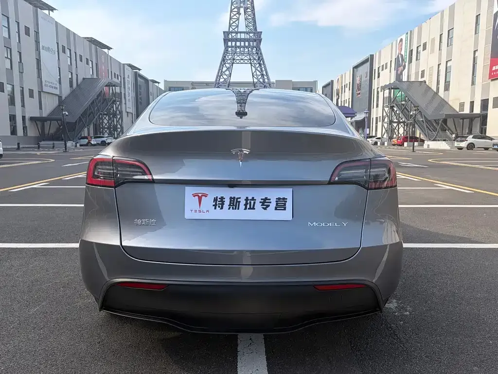 Tesla Model Y — фото 9