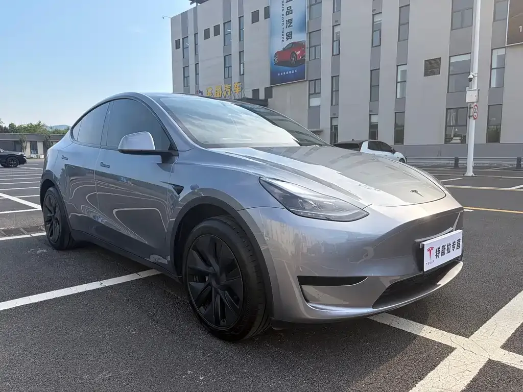 Tesla Model Y — фото 3