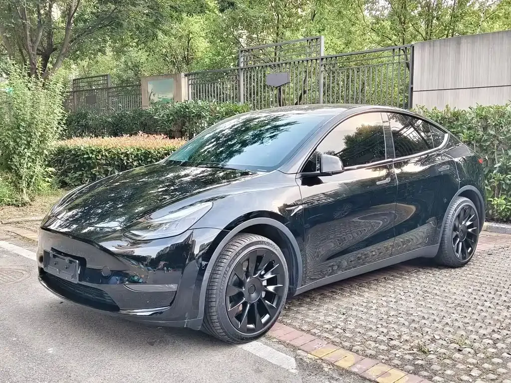 Tesla Model Y — фото 10