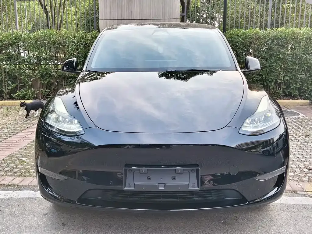 Tesla Model Y — фото 7