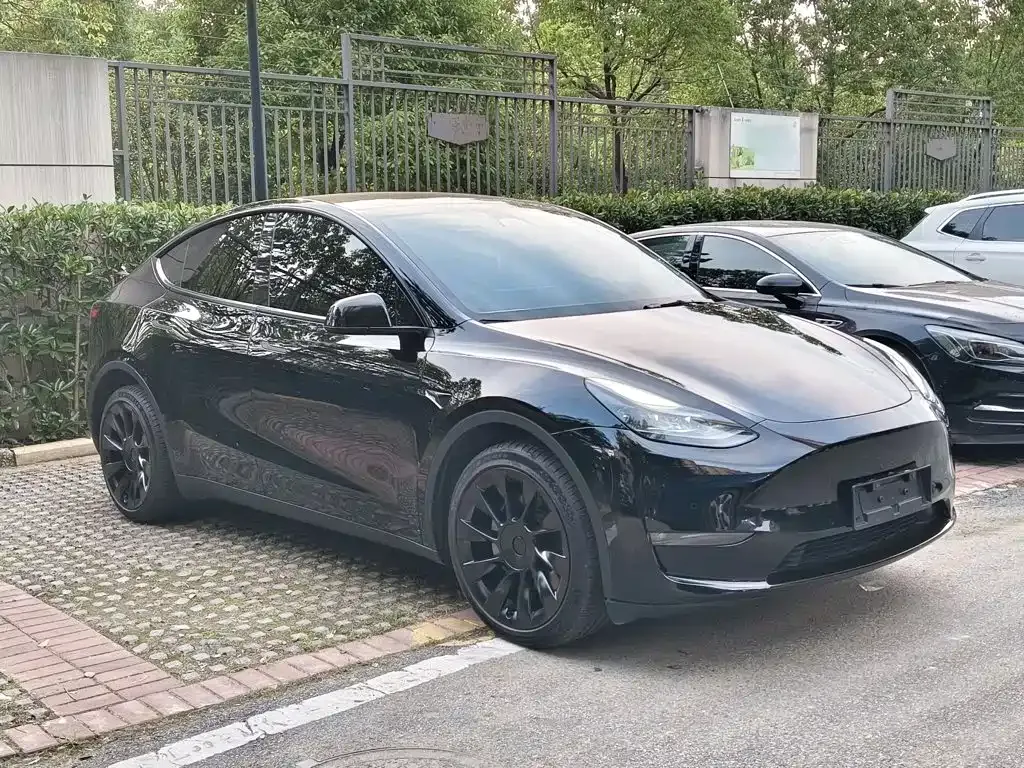 Tesla Model Y — фото 8