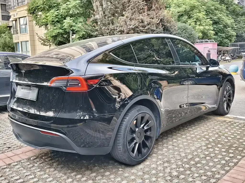Tesla Model Y — фото 9