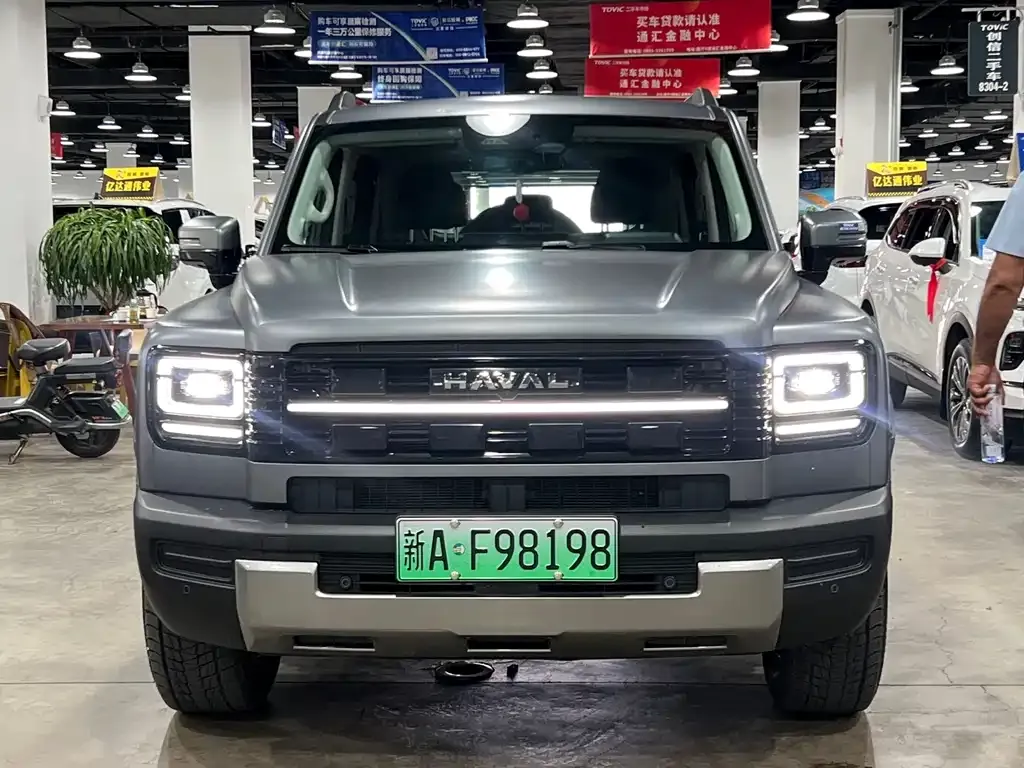 Haval Menglong New Energy — фото 1
