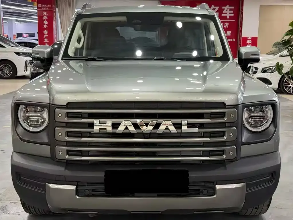 Haval Menglong New Energy — фото 1