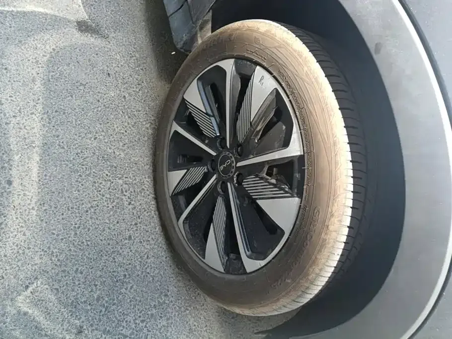 BYD PLUS New Energy — фото 6