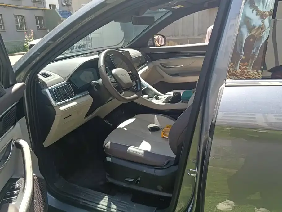 BYD PLUS New Energy — фото 10