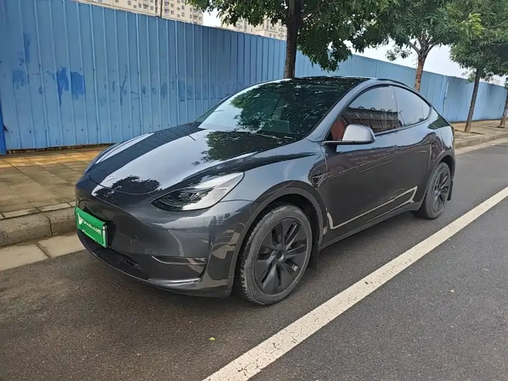 Tesla Model Y — фото 1