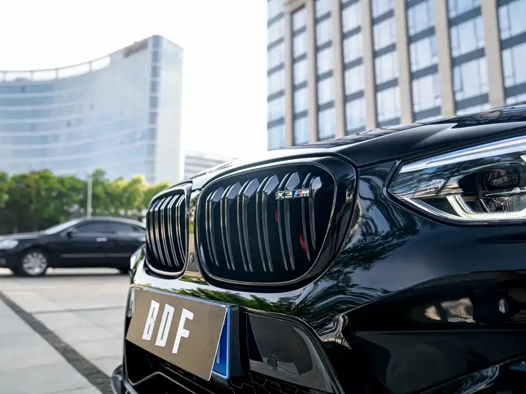 BMW X3 M 2021 из CN, фото 5