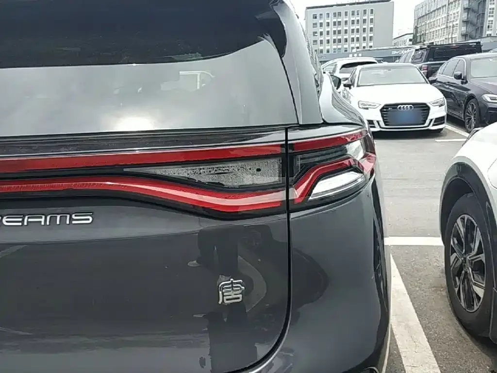 BYD Tang New Energy — фото 10