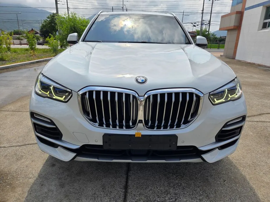 BMW X5 xDrive 40i xLine 1