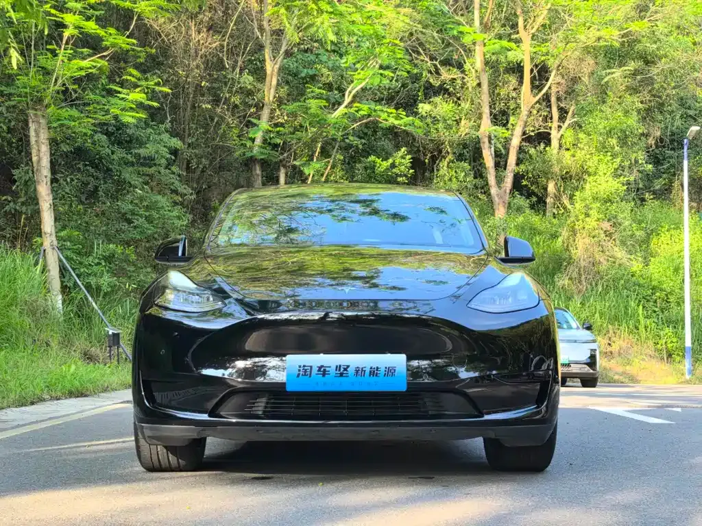 Tesla Model Y — фото 8