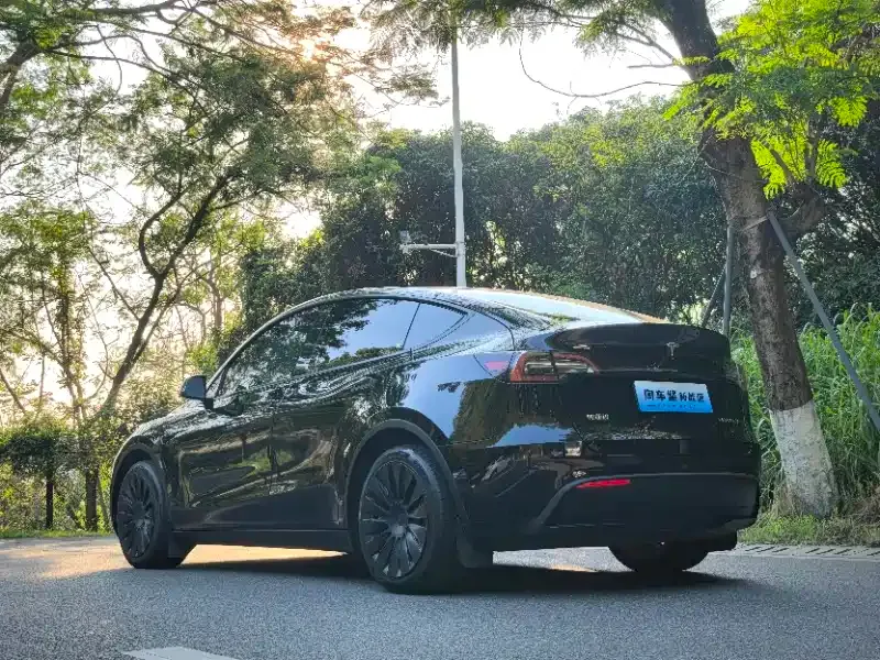 Tesla Model Y — фото 4