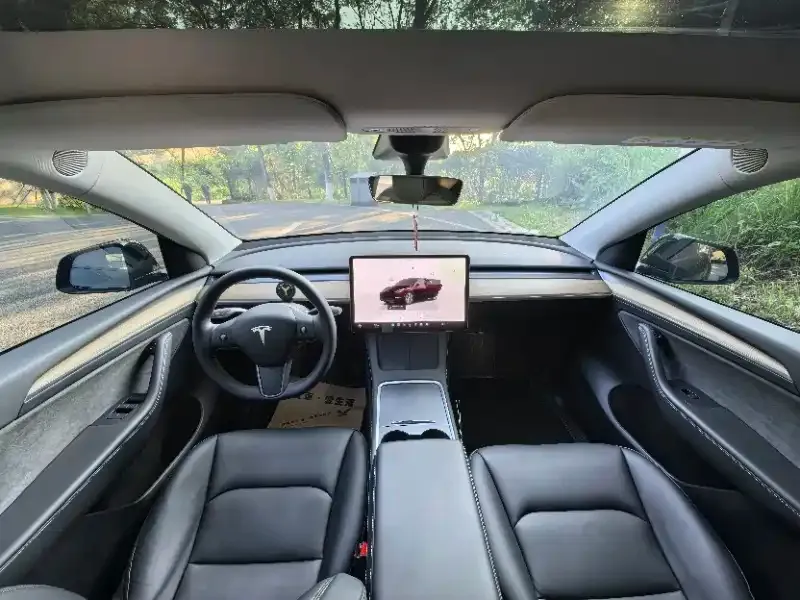 Tesla Model Y — фото 6