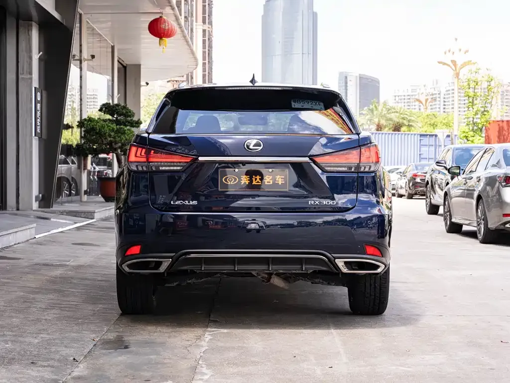 Lexus RX — фото 9