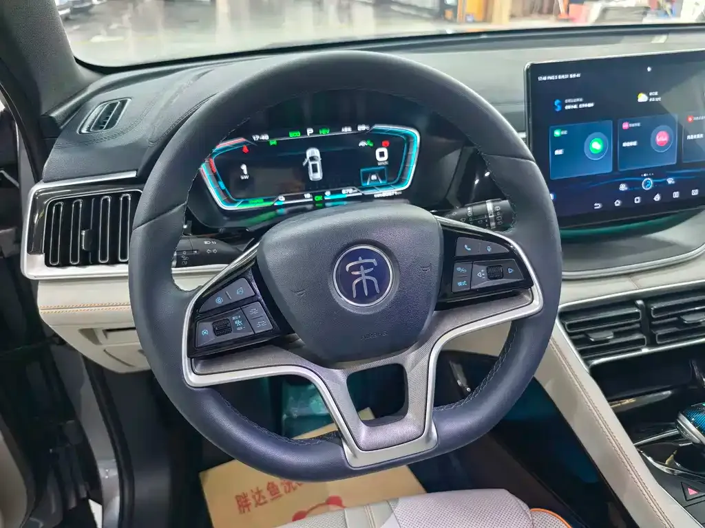BYD PLUS New Energy — фото 6