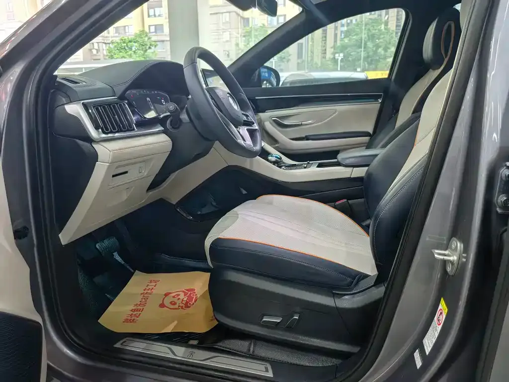 BYD PLUS New Energy — фото 3