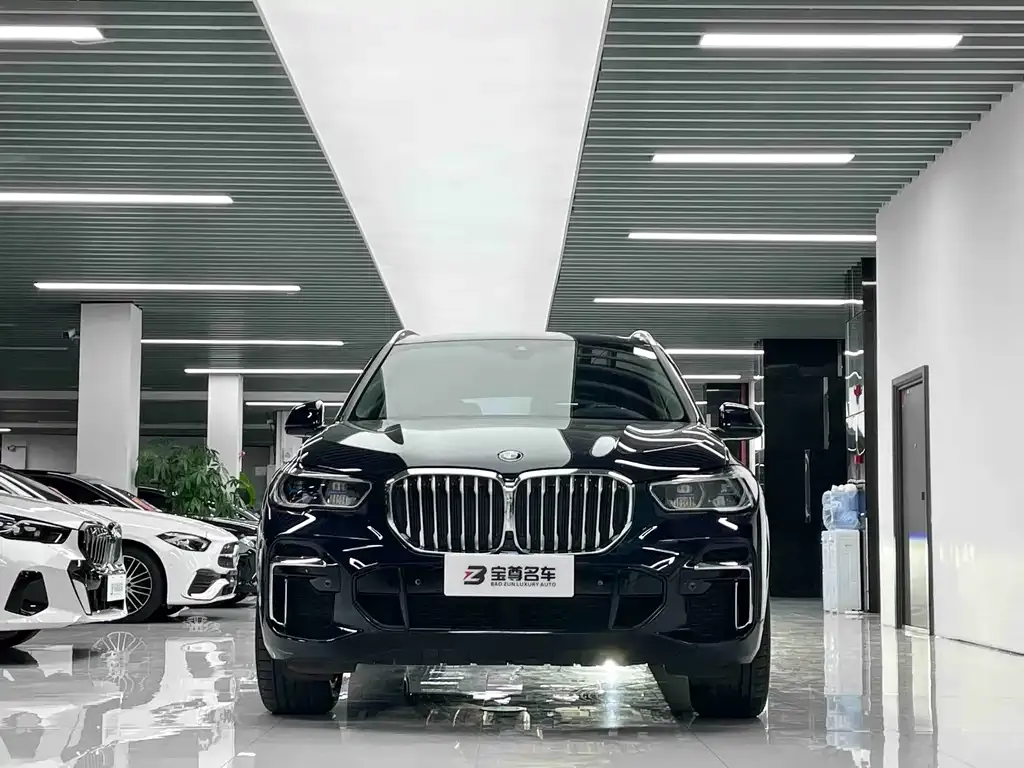 BMW X5 — фото 8