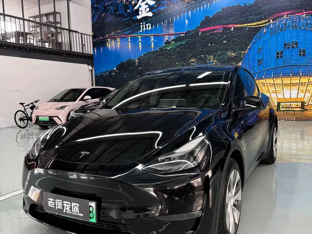 Tesla Model Y — фото 1