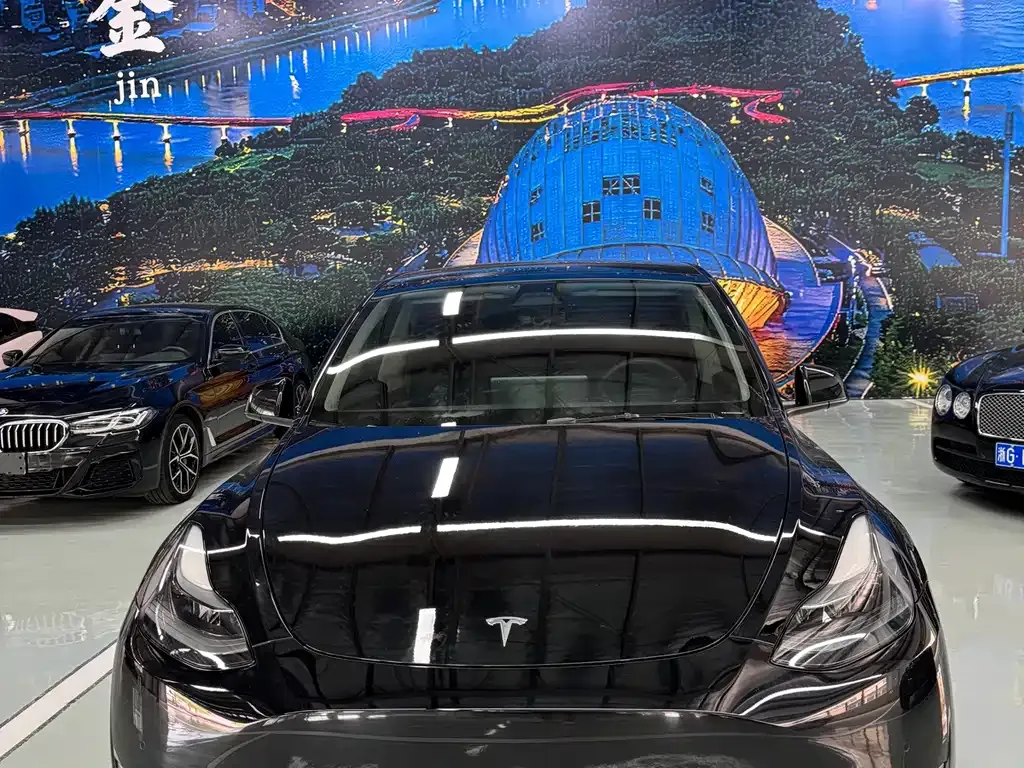 Tesla Model Y — фото 3