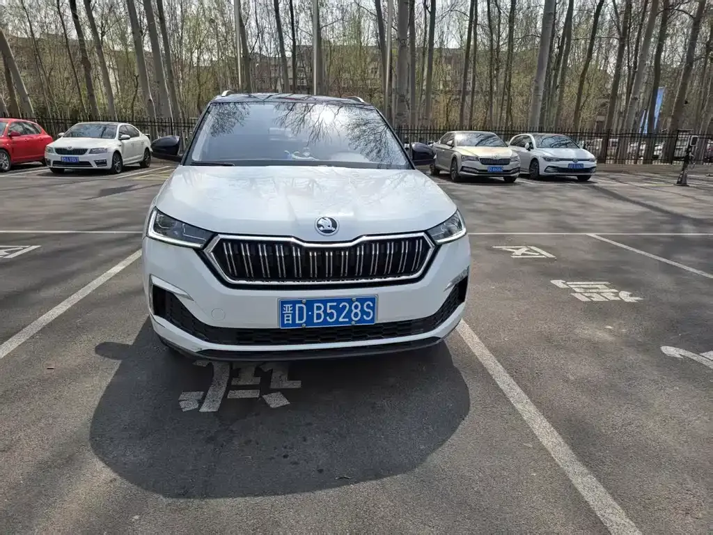 Skoda Kamiq — фото 5