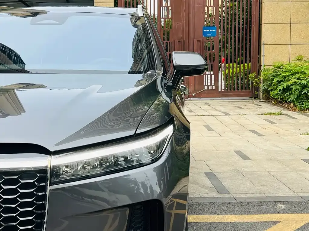 Li Auto ONE 2022 из CN, фото 6