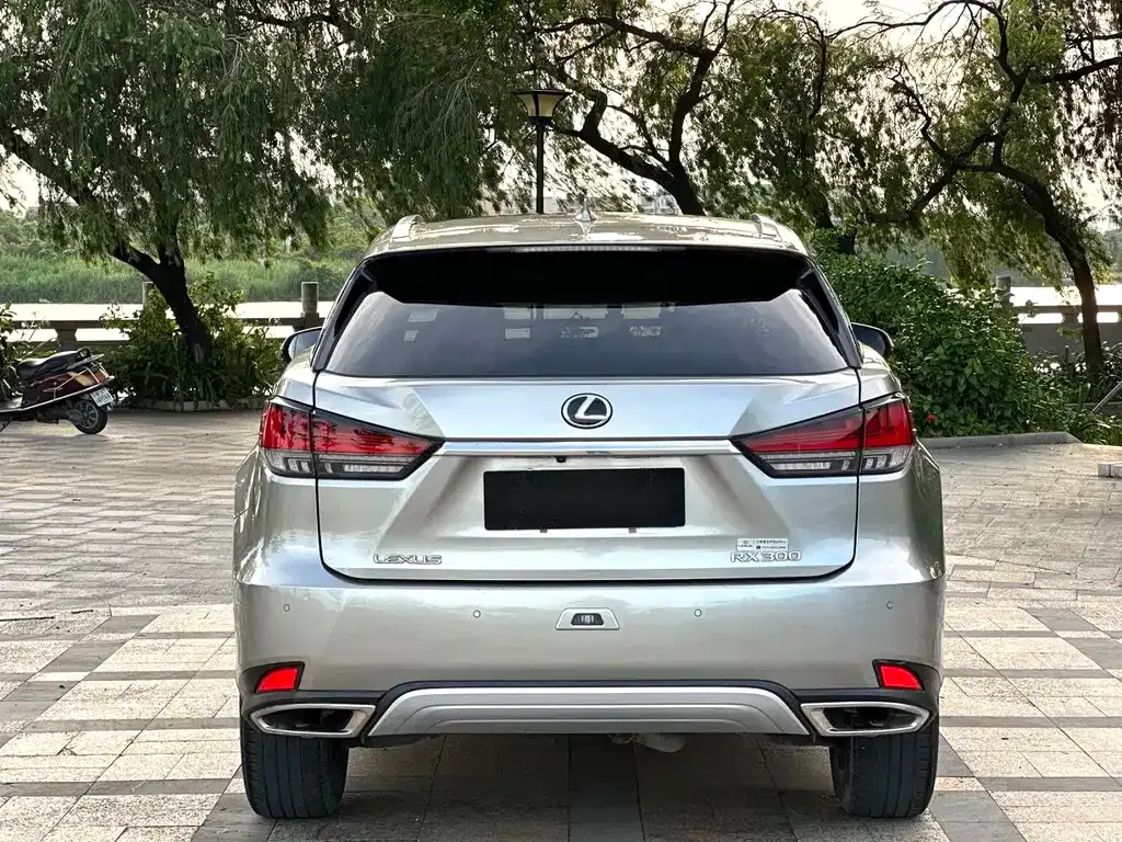 Lexus RX — фото 5