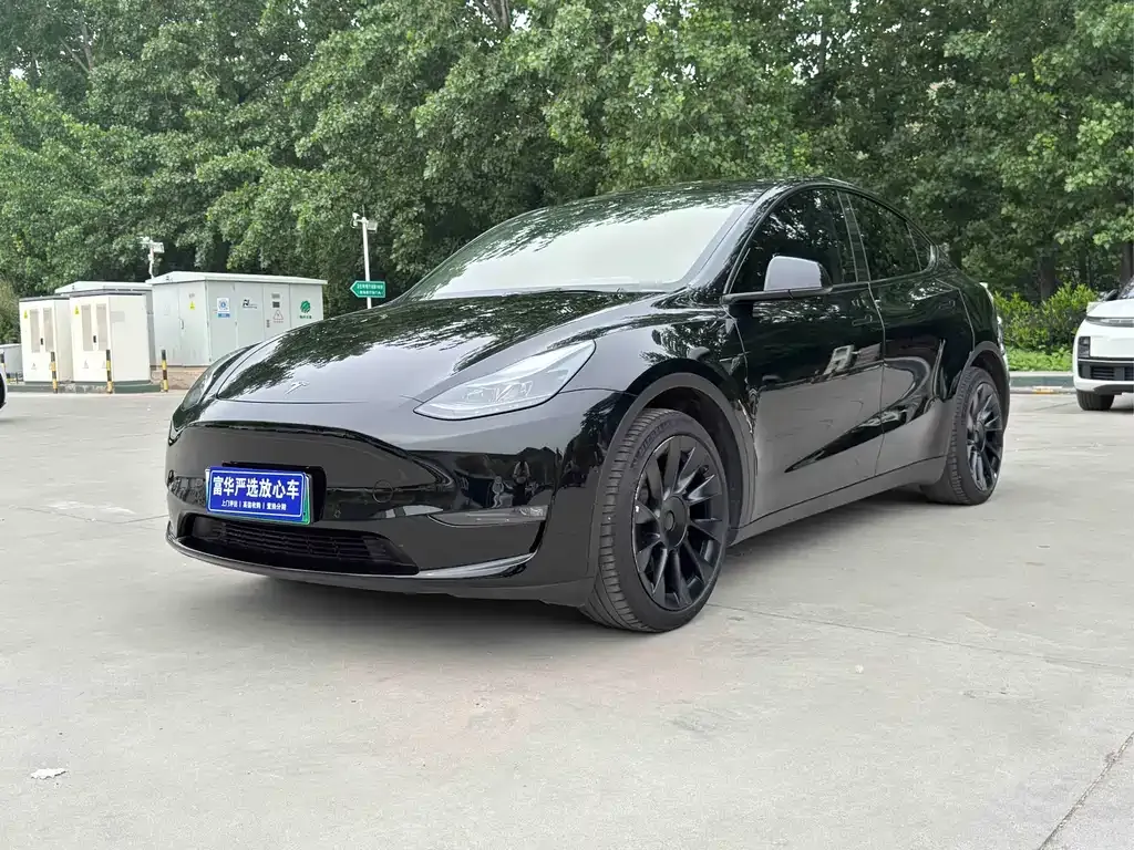 Tesla Model Y — фото 1