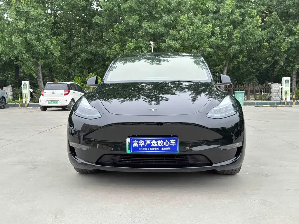Tesla Model Y — фото 10