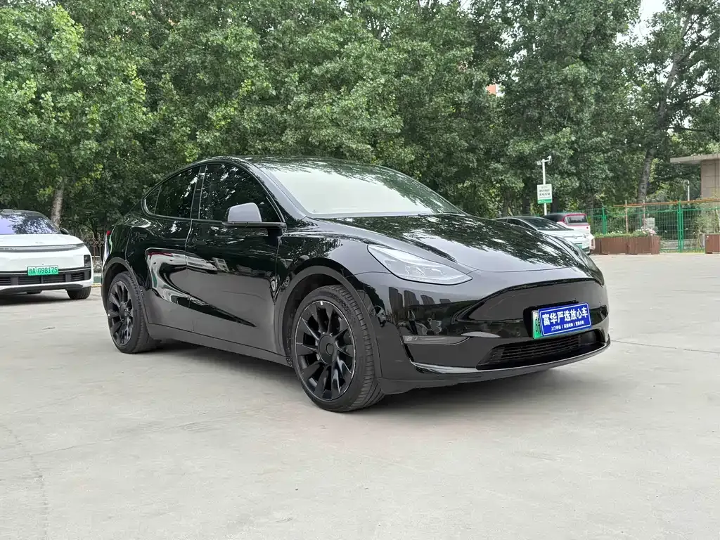Tesla Model Y — фото 8