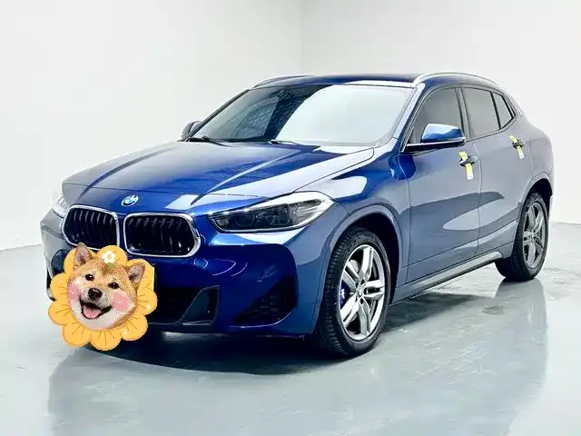BMW X2 — фото 1