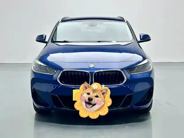 BMW X2 — фото 2