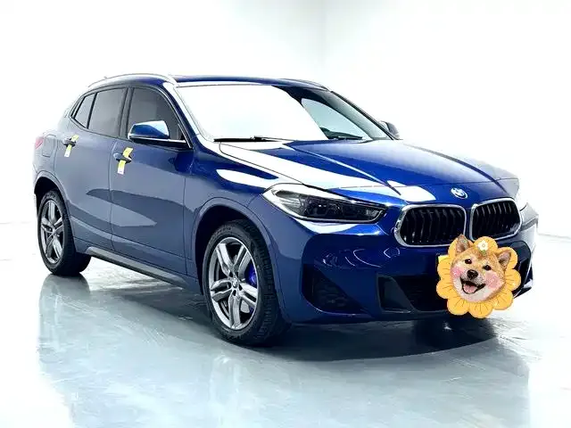 BMW X2 — фото 5