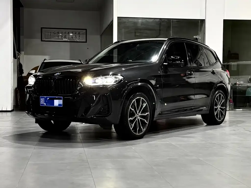 BMW X3 — фото 1
