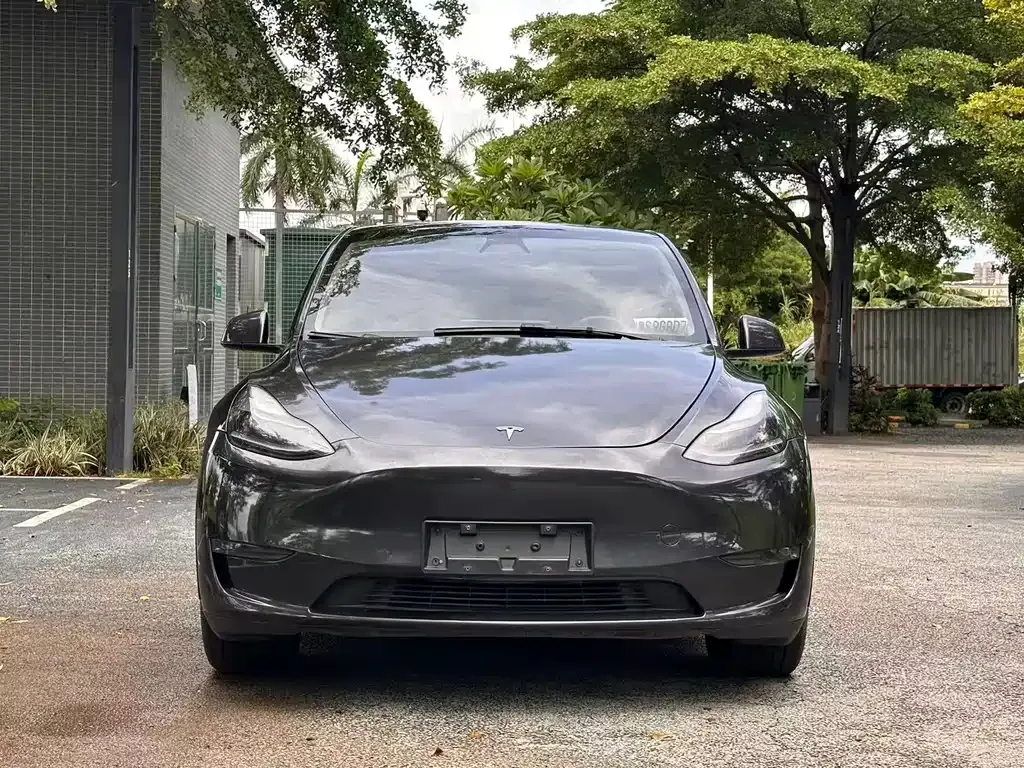 Tesla Model Y — фото 8