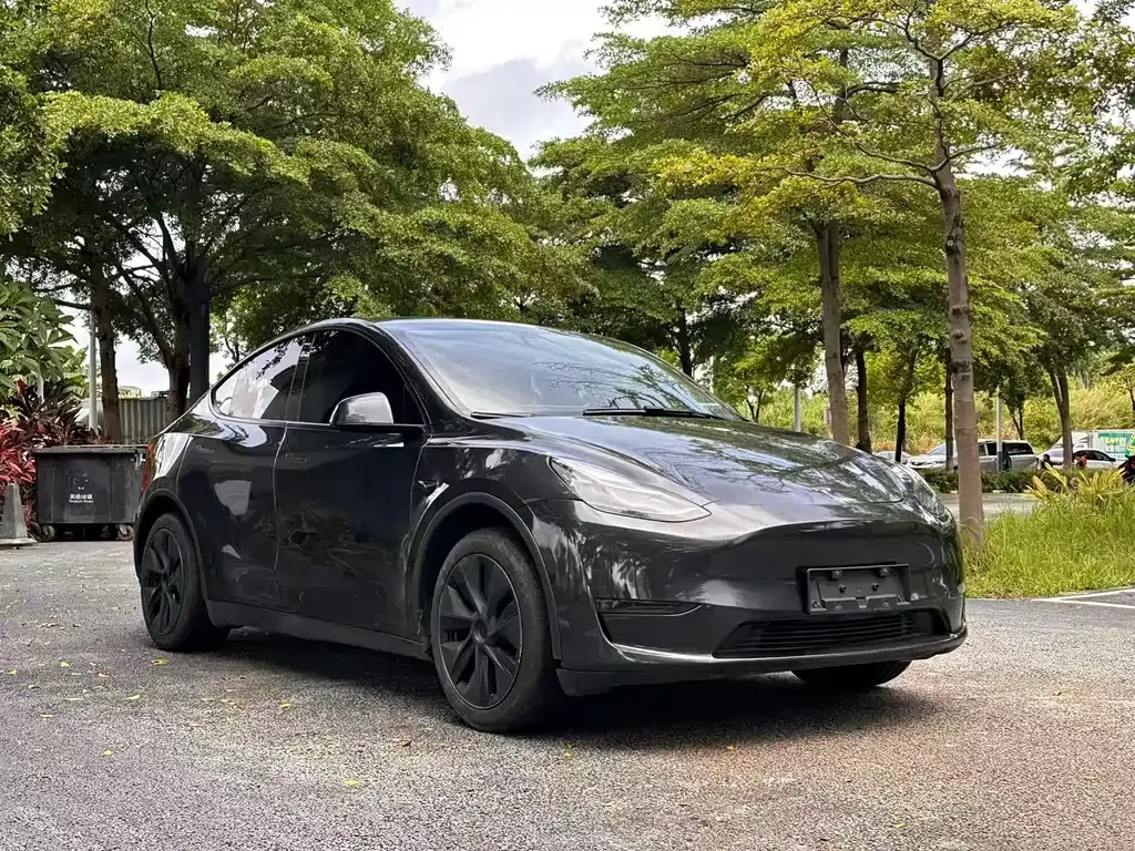 Tesla Model Y — фото 10