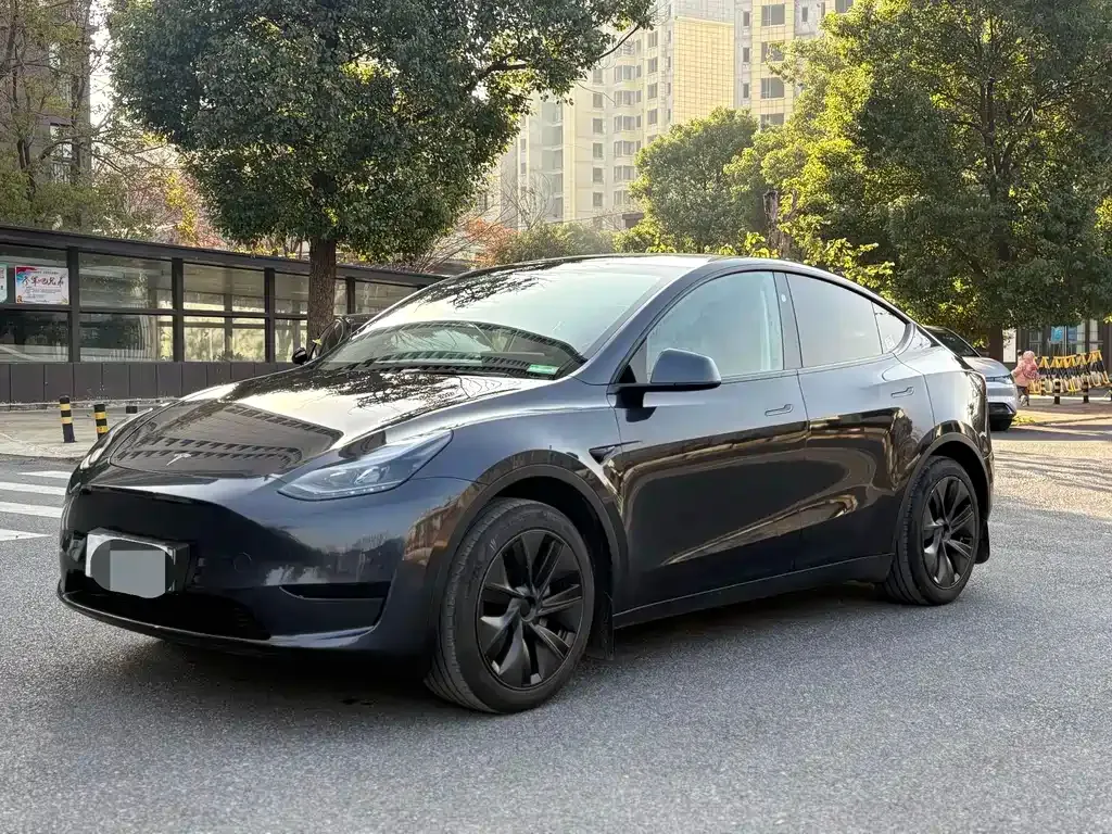 Tesla Model Y — фото 1