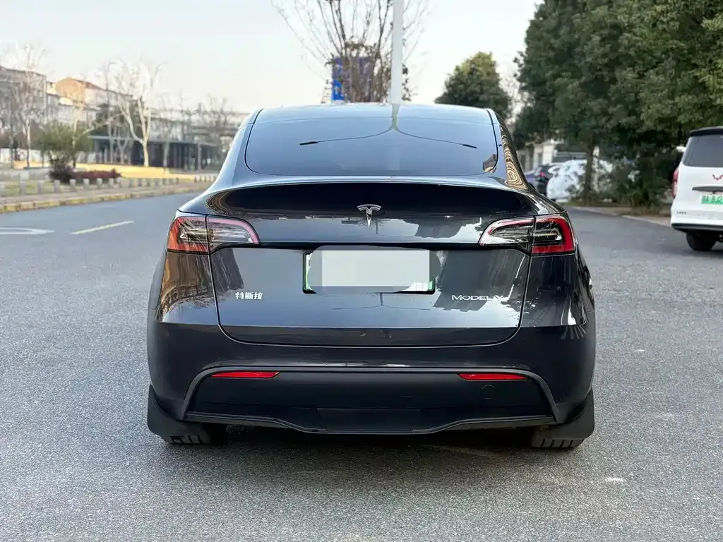 Tesla Model Y — фото 6