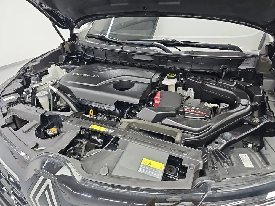 Renault Korea (Samsung) QM6 — фото 10